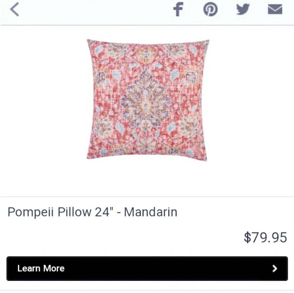 Z Gallerie Mulit Color Pillows